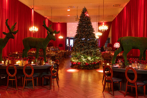 Natal Andrea Guimarães 2024(8)